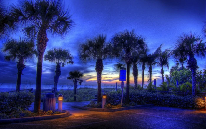 BEACH LIGHTS NIGHT Nature Beaches HD Art sunset 2k