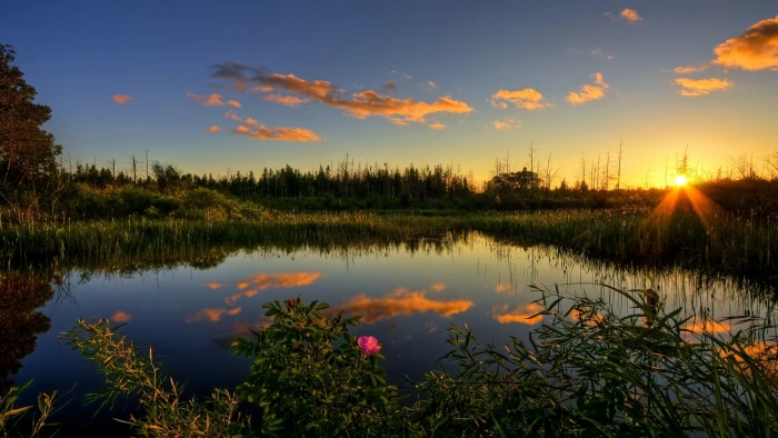 beautiful nature for desktop background 2k