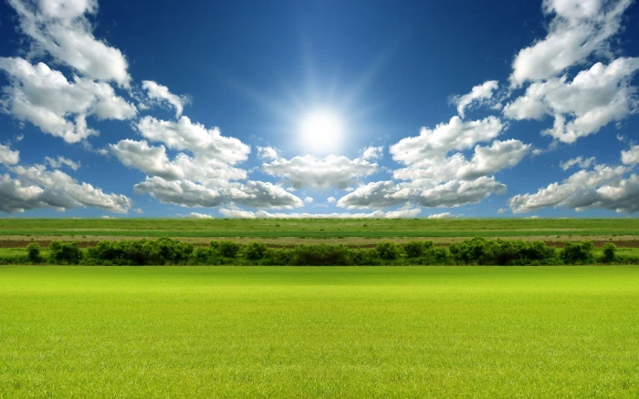 Bright Day Light HD green field nature landscape 2k