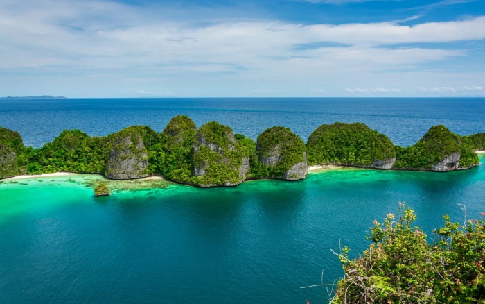 green trees nature landscape tropical summer beach sea 2k
