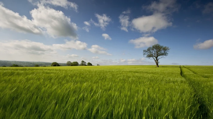 hd image of nature for pc landscape sky field 2k