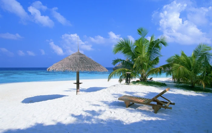 nature beach palm trees chair clouds sea horizon 2k