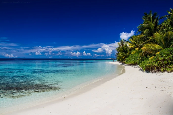 nature beach white sand landscape island sea tropical 2k