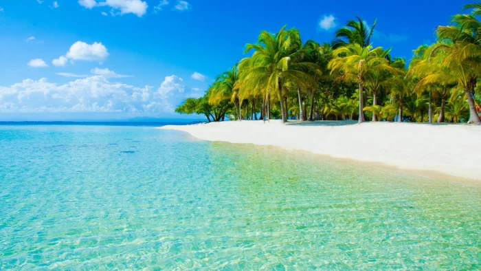 Nature sky clouds sea beach palm scenery 2k