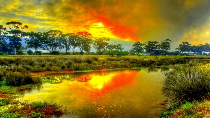 nature sun sunset sky sunrise silhouette landscape dusk 2k