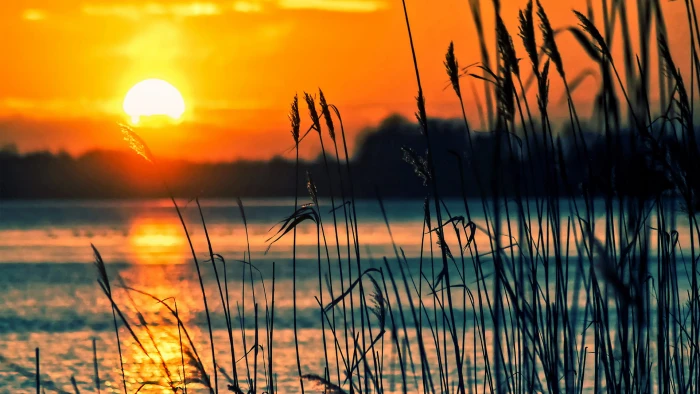 nature sun sunset sky sunrise silhouette star dusk landscape 2k
