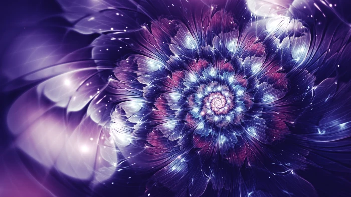 purple and pink petaled flower artwork abstract fractal flowers 2k