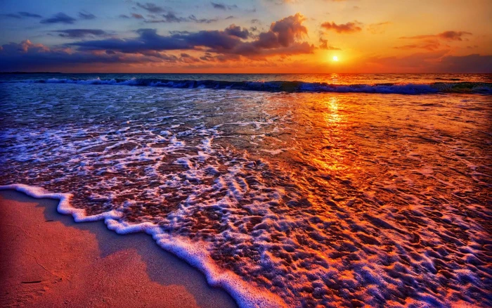 sea beach landscape water sunset sky beauty in nature