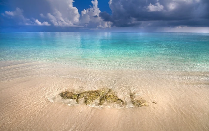 seashore photo nature landscape Maldives tropical beach 2k