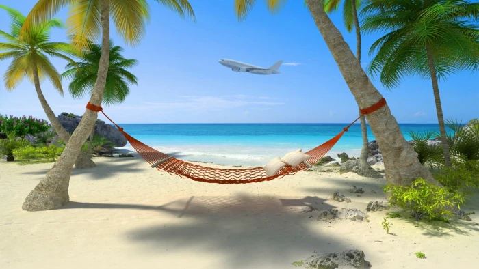 Seaside scenery coconut trees hammocks blue sea sky aircraft beach 2k