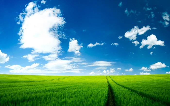 Summer Scenery nature and landscape 2k