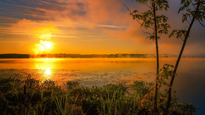 sun nature sunset star sky sunrise celestial body silhouette 2k