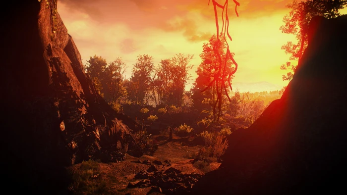 the witcher 3 wild hunt video games sunset tree sky beauty in nature 2k