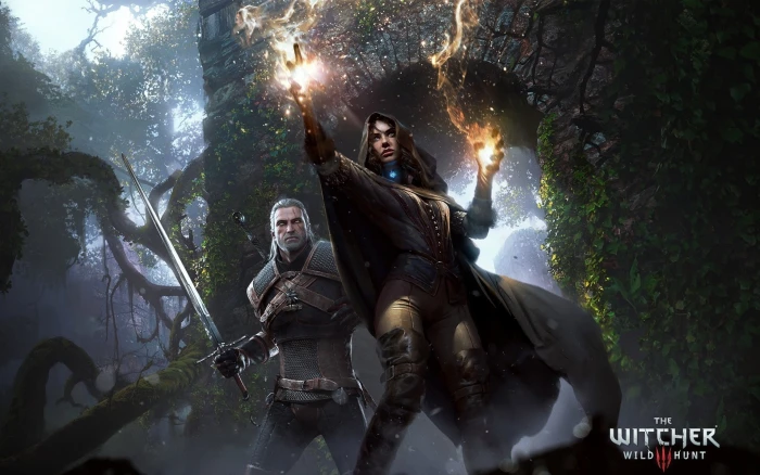 The Witcher 3 Wild Hunt PC game 2k