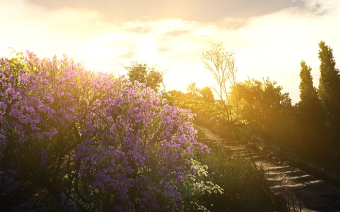 The Witcher 3 Wild Hunt Blood and Wine 2k