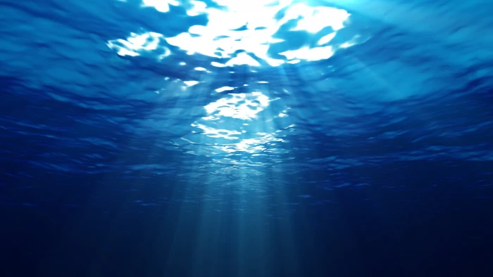 under the water photo during daytime Windows wallpaper 2k 4k