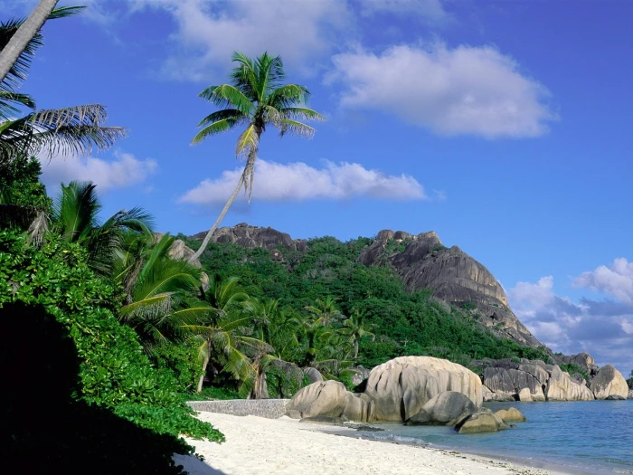 landscape island tropical palm trees beach rocks 2k