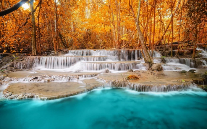 Autumn Forest Trees River Waterfall nature scenery blue water 2k