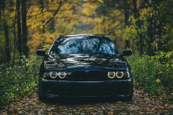 black BMW machine autumn forest car land Vehicle 2k