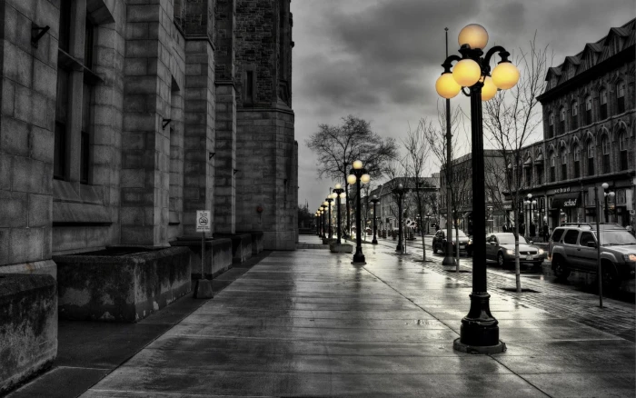 Black White Nature Yellow Walk Street Lights Free Desktop cities 2k