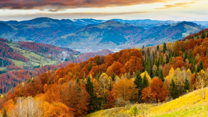 forest painting nature landscape trees hills mountains sky 2k