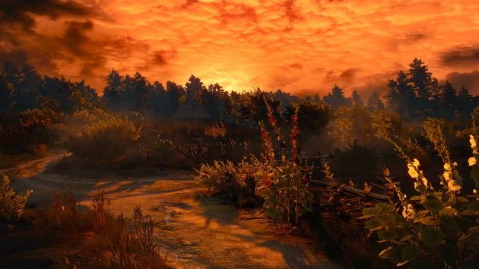 forest sketch The Witcher 3 Wild Hunt video games sunset 2k