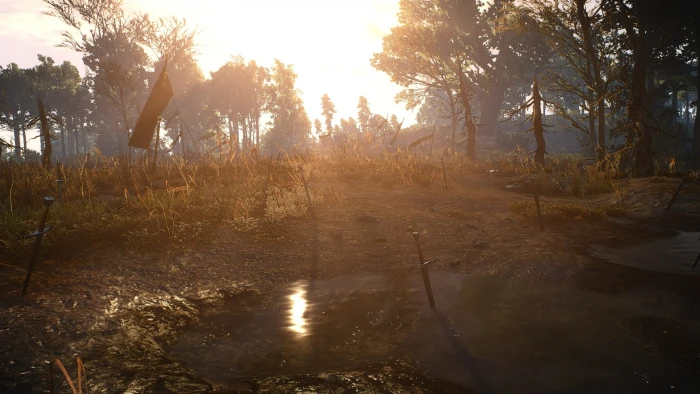 green leafed trees The Witcher 3 Wild Hunt video games plant 2k