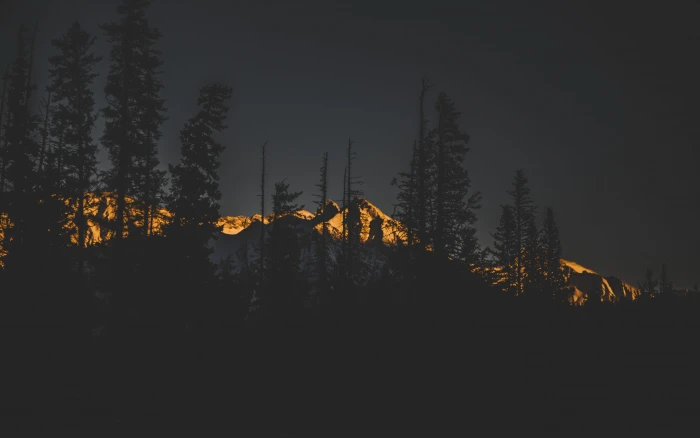 landscape photo on mountain alps silhouette of trees near white during sunset 2k 4k 5k