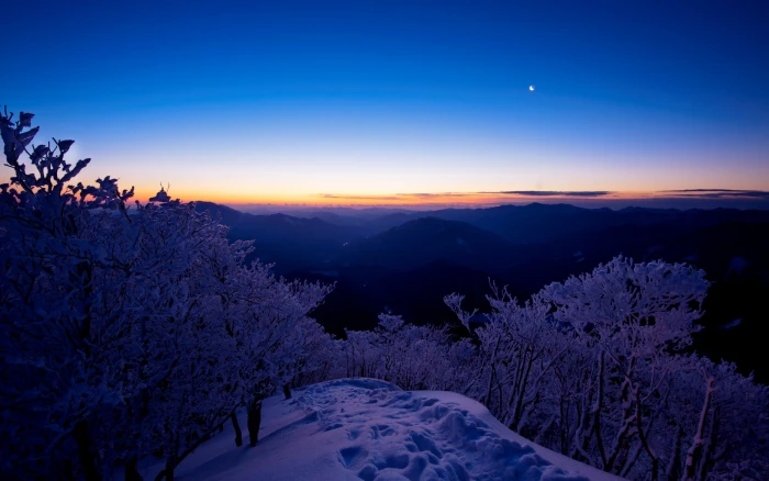 mountain landscape snow trees sunset nature winter sky 2k