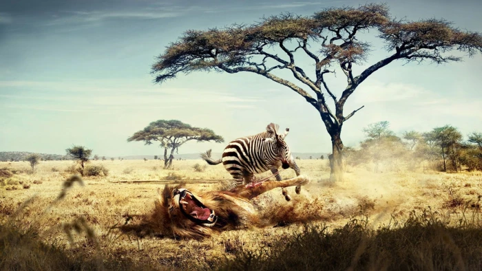 nature animals zebras trees hunter lion fantasy art Africa 2k