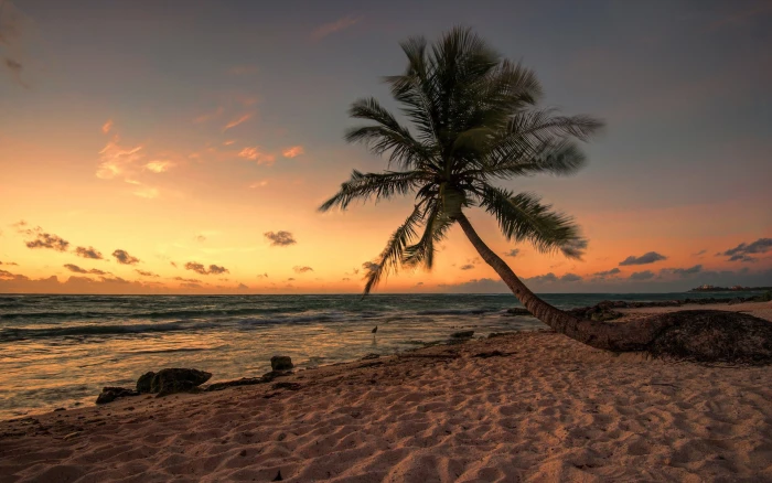 pc nature sea sky water sunset beach scenics 2k