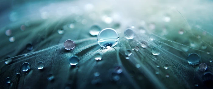photography nature macro ultrawide landscape 2k