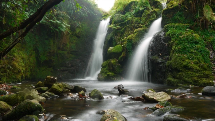 raging waterfalls nature landscape tree scenics 2k