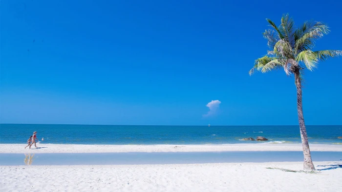 Summer Beach 2k