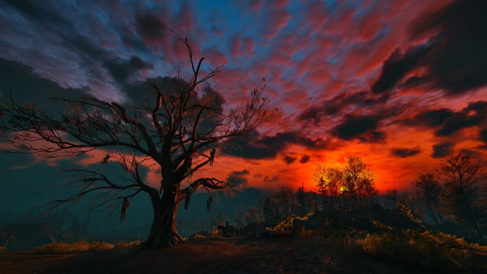 the sky clouds night tree The Witcher gallows 3 Wild Hunt 2k