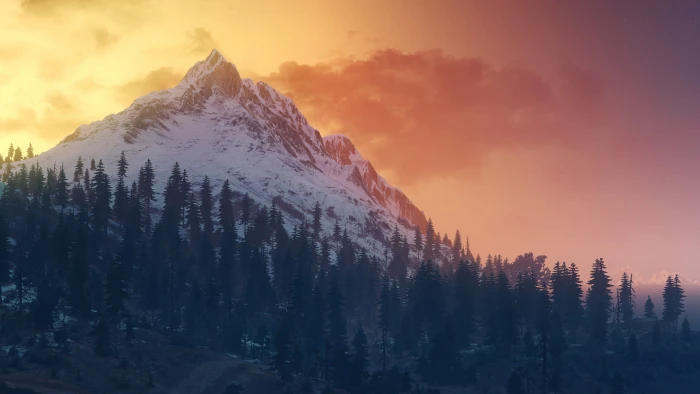 The Witcher 3 Wild Hunt Landscape Mountains tree beauty in nature 2k