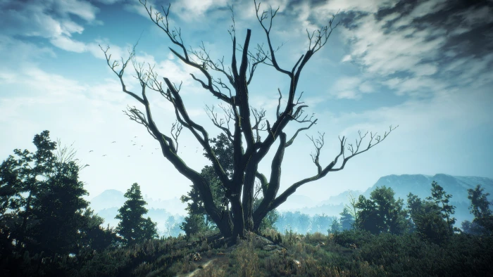 The Witcher 3 Wild Hunt video games computer game screen shot 2k