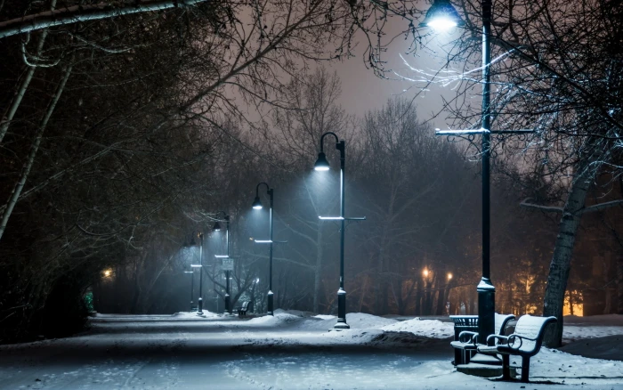 bare trees park winter bench night lights path snow street light 2k