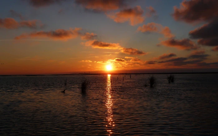 brown wooden framed wall decor sunset beach sky clouds sunlight 2k