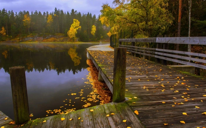 brown wooden lake dock and gray pier beside body of water surrounded by yellow leaf tree 2k