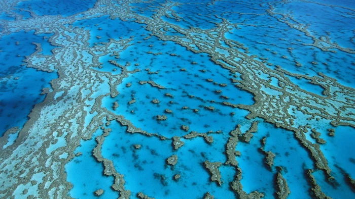 Coral formations in Hardy Reef beaches australia 2k