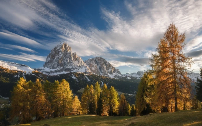 green leafed tree landscape nature fall mountains forest 2k