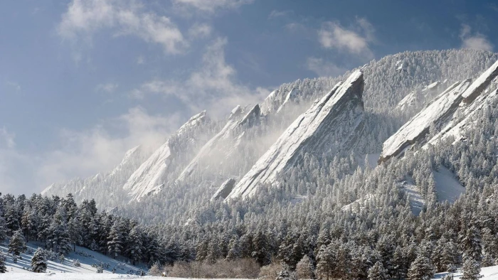 green pine trees winter mountains forest nature landscape 2k