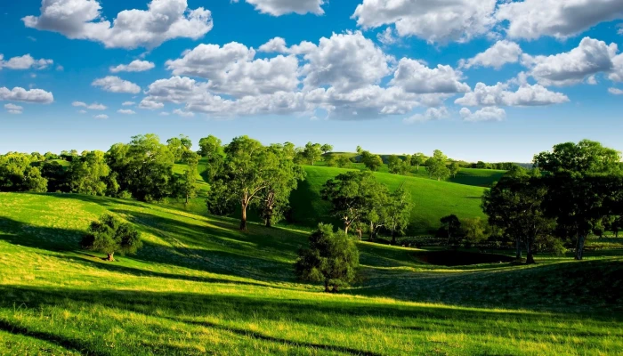 green trees and river painting nature landscape hills plant 2k