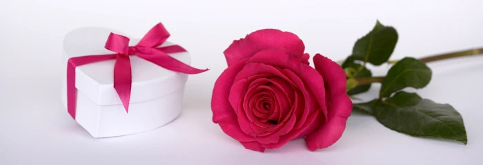 heart shape white gift box with pink rose loop surprise give 2k 4k 5k