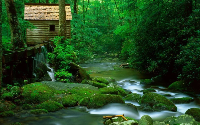 House in the Jungle brown house Nature Scenery beautiful nature wallpapers 2k