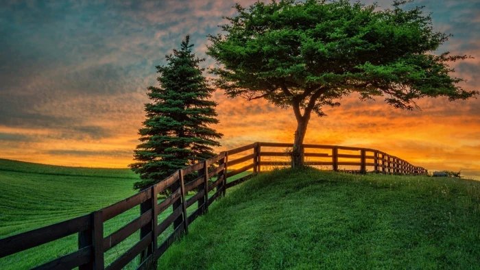 nature landscape bench tree sky park summer grass forest 2k