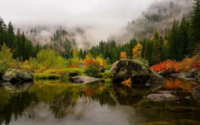 pine trees nature landscape fall lake mist forest mountains 2k
