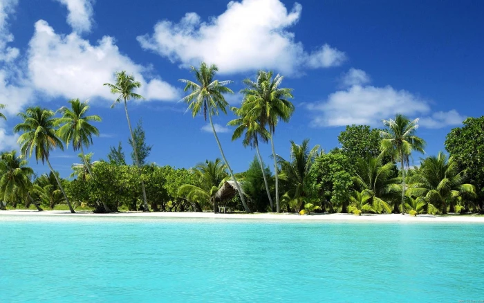 Tropical Beach Paradise nature 2k