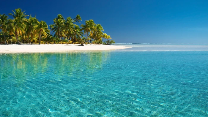 blue and green island beach nature landscape palm trees water 2k